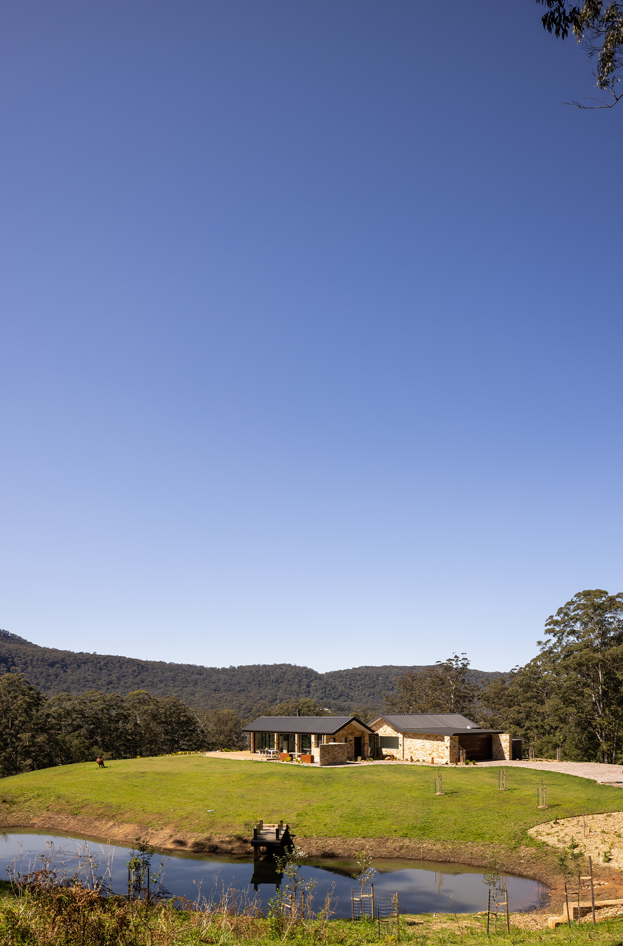 Cabin House Design Studio Group